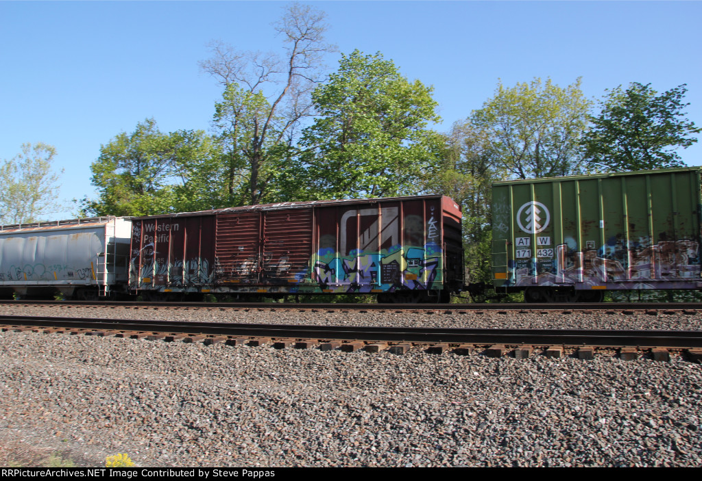 WP 38185